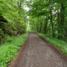 Chelmiec_2020_11 Chelmiec_2020_11