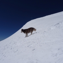 Dzien13_16 Dzien13_16