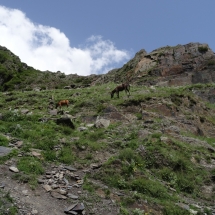 Dzien16_15 Dzien16_15