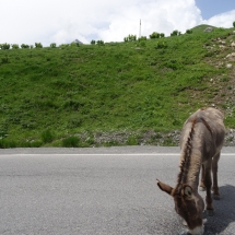 Dzien16_25 Dzien16_25