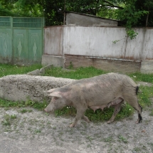 Dzien16_27 Dzien16_27