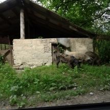 Dzien16_28 Dzien16_28