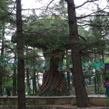 Dzien18_27 Dzien18_27