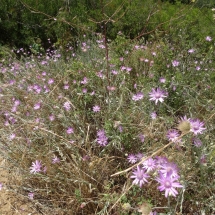 Dzien19_37 Dzien19_37