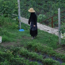 Dzien20_15 Dzien20_15