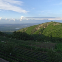 Dzien20_17 Dzien20_17