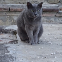 Dzien20_18 Dzien20_18