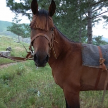 Dzien21_24 Dzien21_24