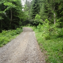 Dzien22_19 Dzien22_19