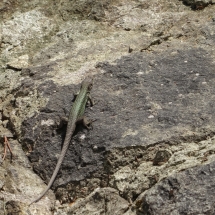 Dzien23_10 Dzien23_10