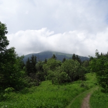 Dzien23_11 Dzien23_11