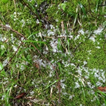 Dzien23_15 Dzien23_15