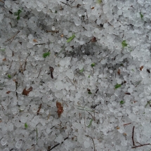 Dzien23_17 Dzien23_17