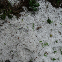 Dzien23_18 Dzien23_18