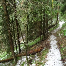 Dzien23_20 Dzien23_20