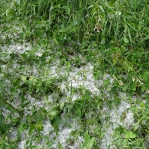 Dzien23_21 Dzien23_21