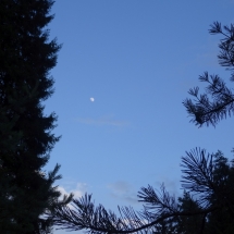 Dzien23_24 Dzien23_24