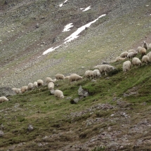 Dzien27_25 Dzien27_25