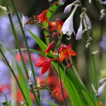 Dzien31_10 Dzien31_10