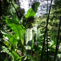 Dzien31_11 Dzien31_11