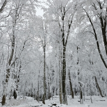 20241213_081905 20241213_081905