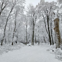 20241213_081912 20241213_081912