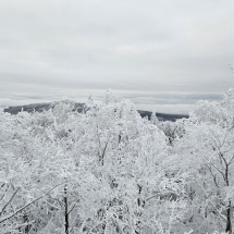 20241213_082617 20241213_082617