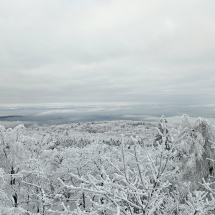 20241213_082626 20241213_082626