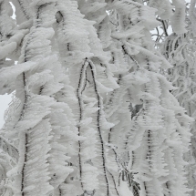 20241213_110538 20241213_110538