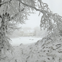 20241213_110552 20241213_110552