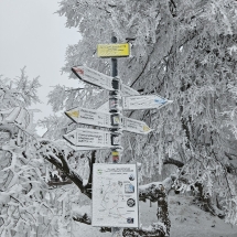 20241213_110735 20241213_110735