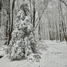 20241213_125845 20241213_125845