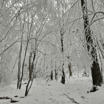 20241213_131335 20241213_131335