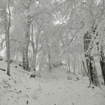 20241213_131647 20241213_131647