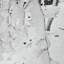 20241213_131729 20241213_131729