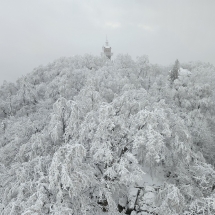 20241213_133613 20241213_133613