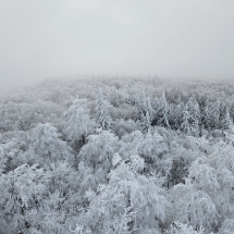 20241213_133618 20241213_133618