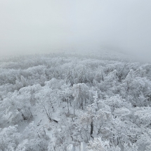 20241213_133742 20241213_133742