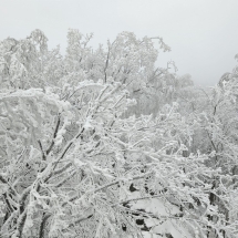 20241213_134048 20241213_134048