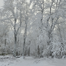 20241213_134626 20241213_134626